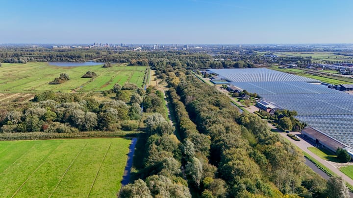 Foto 31 van Nieuwkoopseweg 24