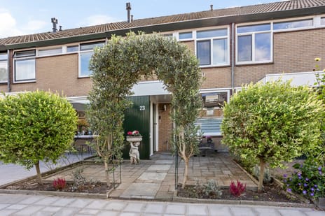 undefined main image