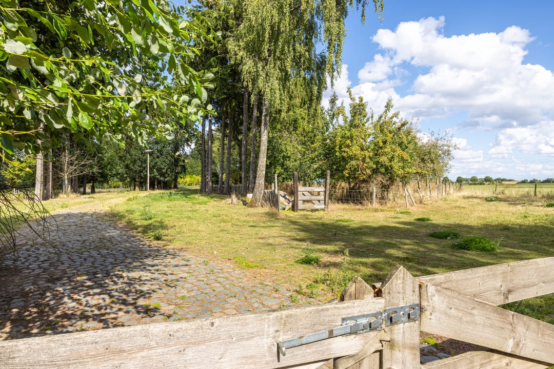 Photo 62 of Nieuwenhuysstraat 60