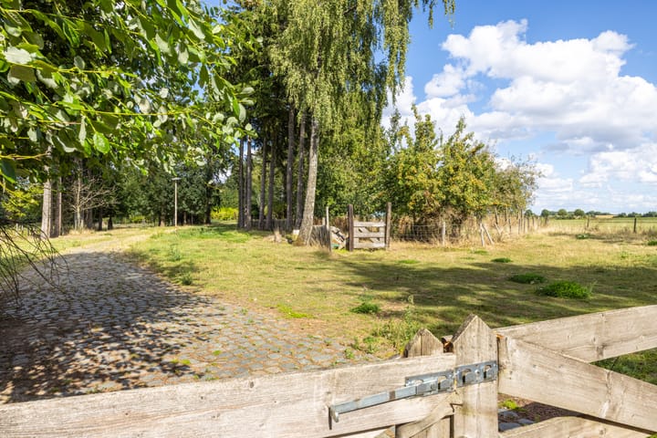 Photo 62 of Nieuwenhuysstraat 60