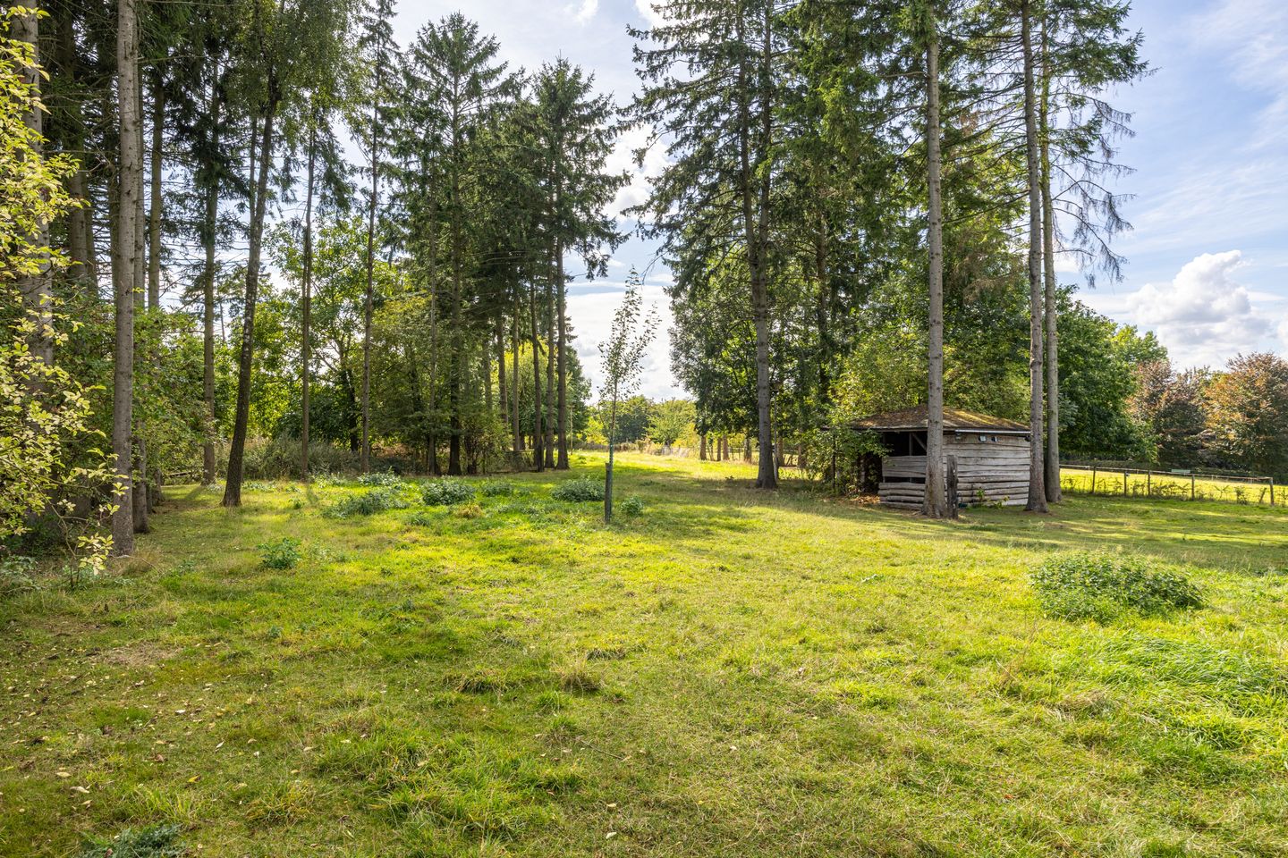 Photo 65 of Nieuwenhuysstraat 60