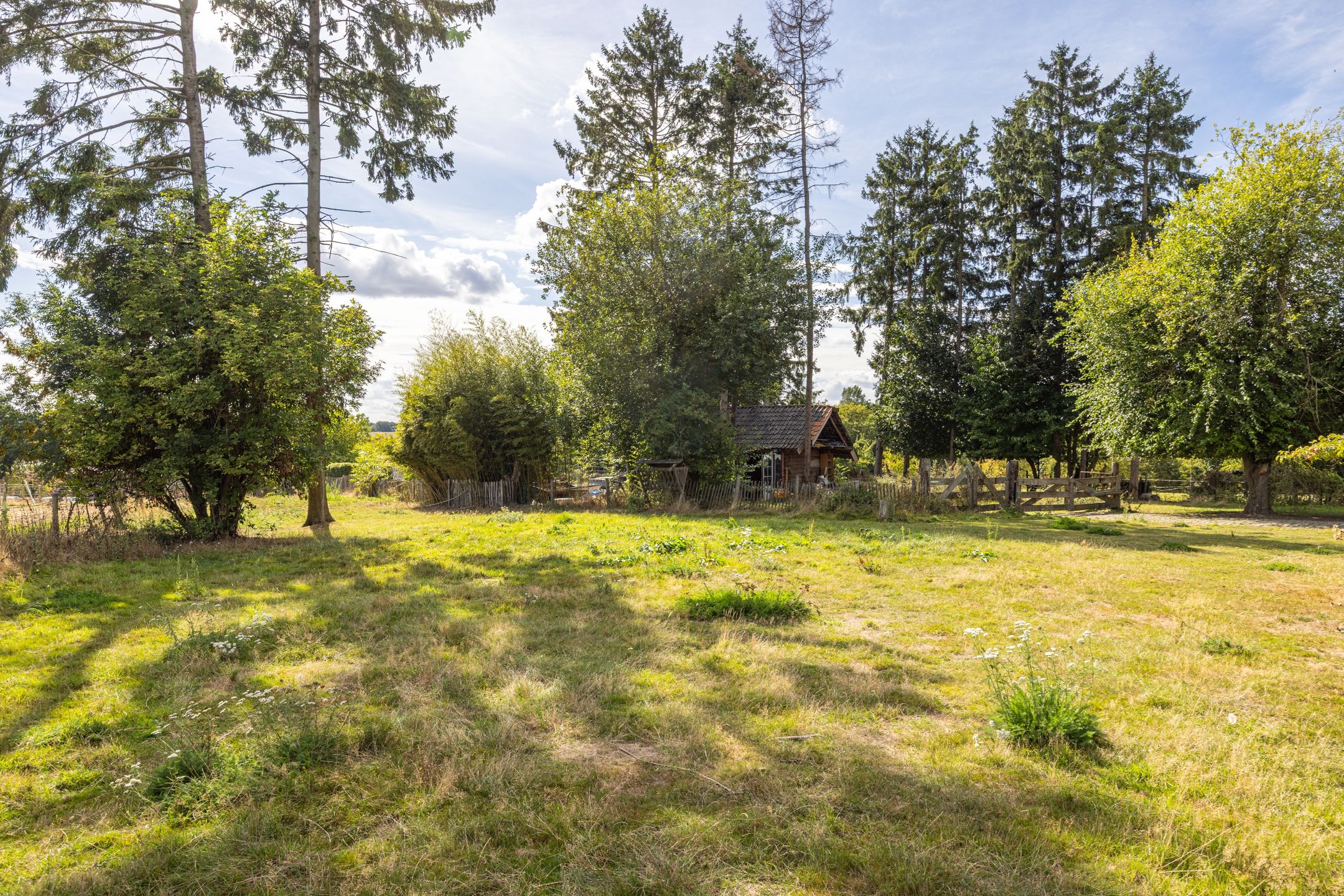 Photo 66 of Nieuwenhuysstraat 60