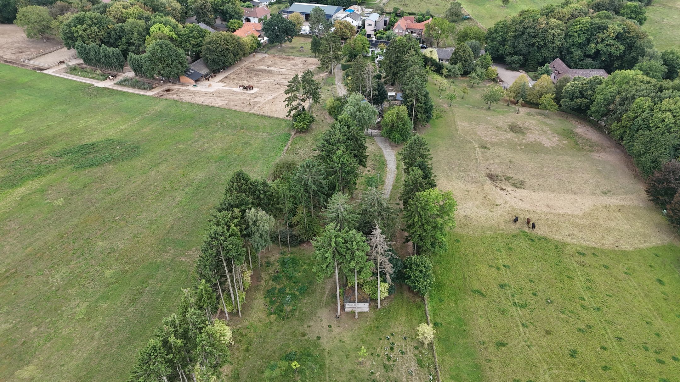 Photo 78 of Nieuwenhuysstraat 60