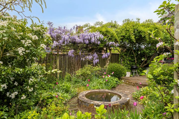 Photo 46 of 't Stepke 3