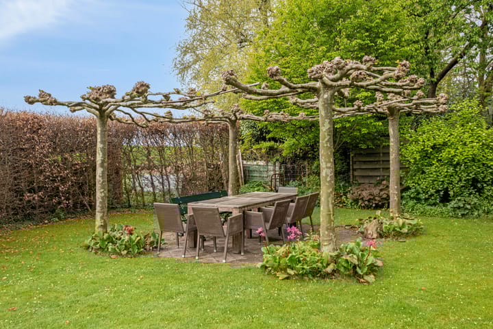 Photo 50 of 't Stepke 3