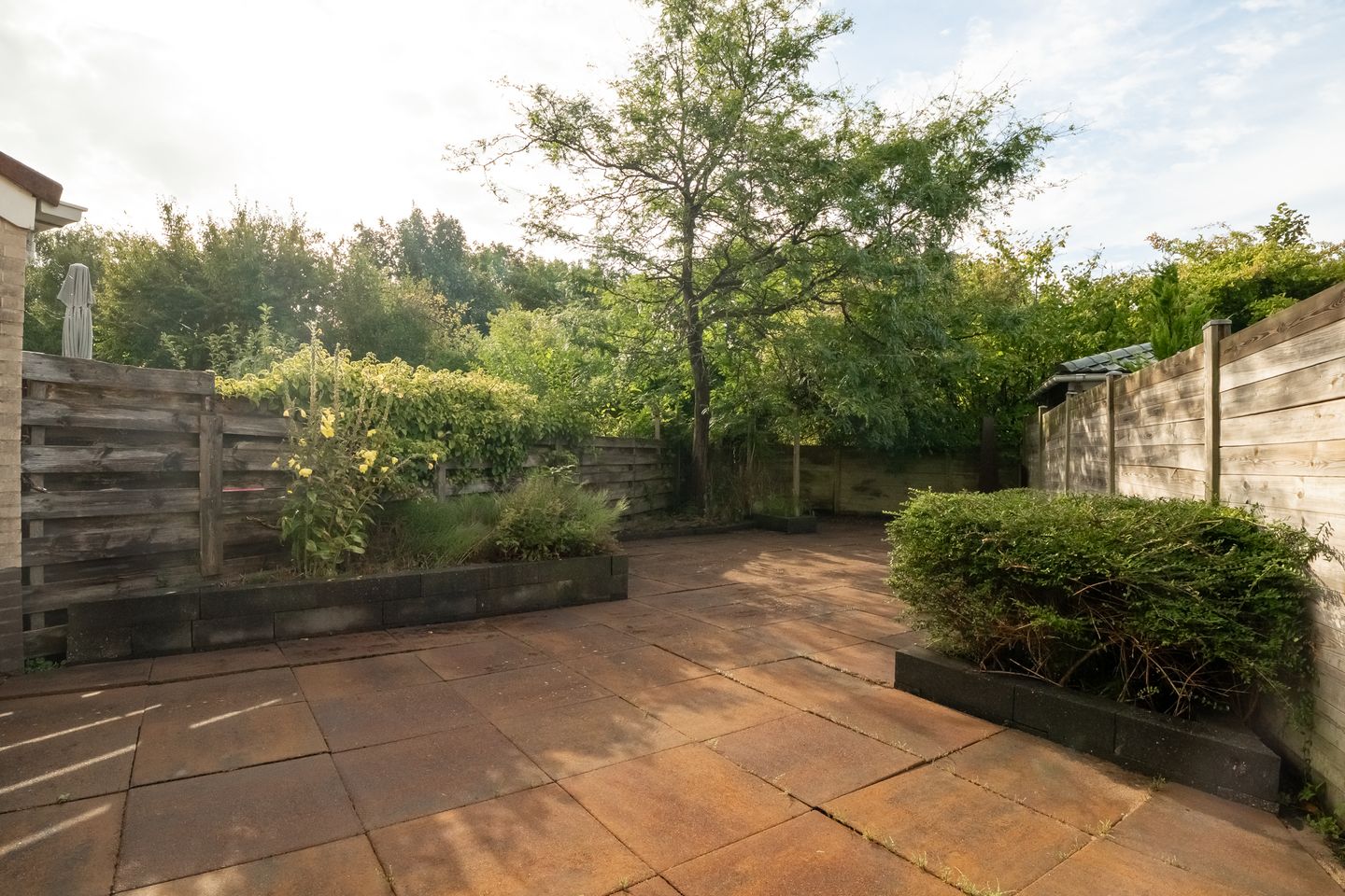 Foto 4 van Saffier 2