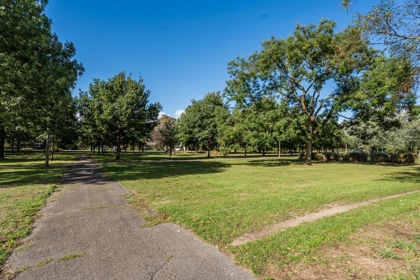 Photo 5 of Plutostraat 131