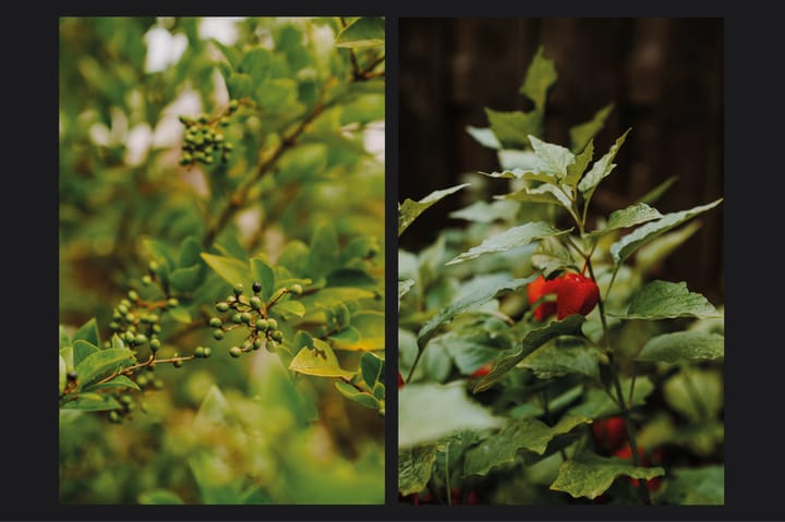 Foto 35 van Zweder van Zuylenlaan 15