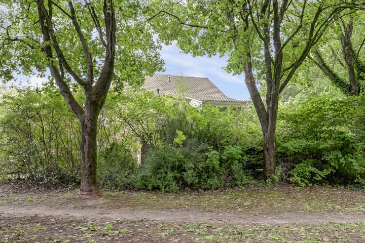 Photo 75 of Helmkruidstraat 13