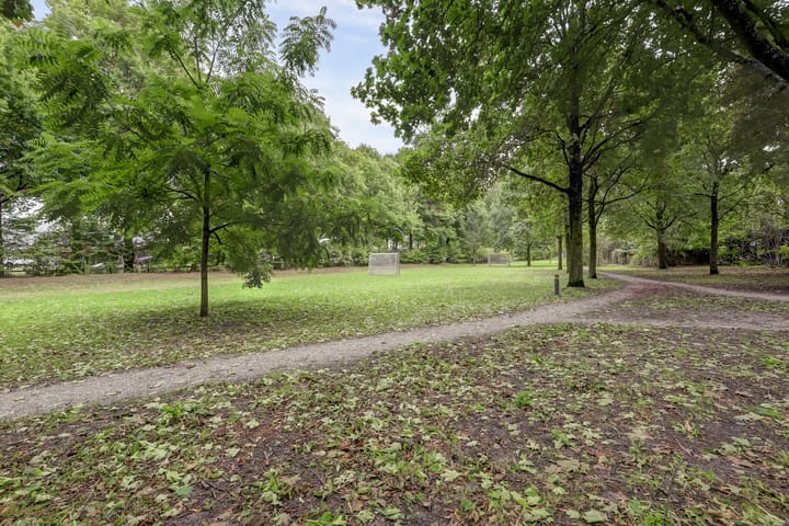 Photo 77 of Helmkruidstraat 13