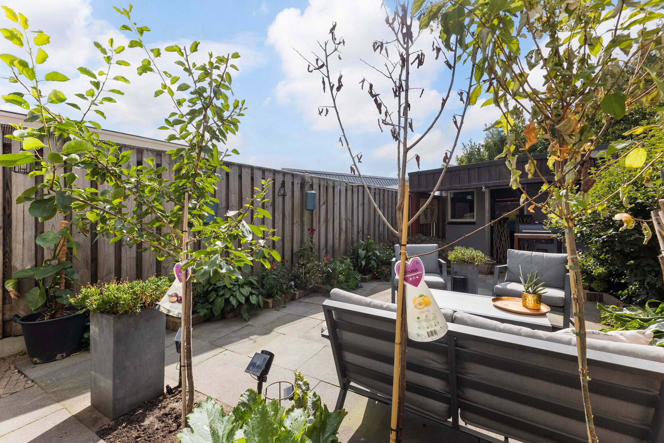 Photo 27 of Berfloweg 74