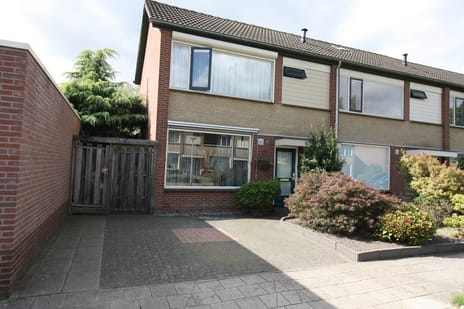 undefined main image