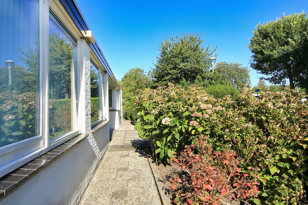 Photo 46 of Pasteurstraat 6