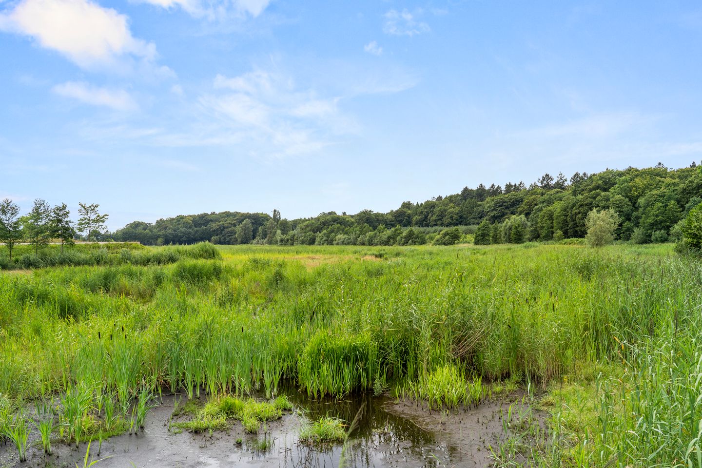Foto 50 van Hartenseweg 12