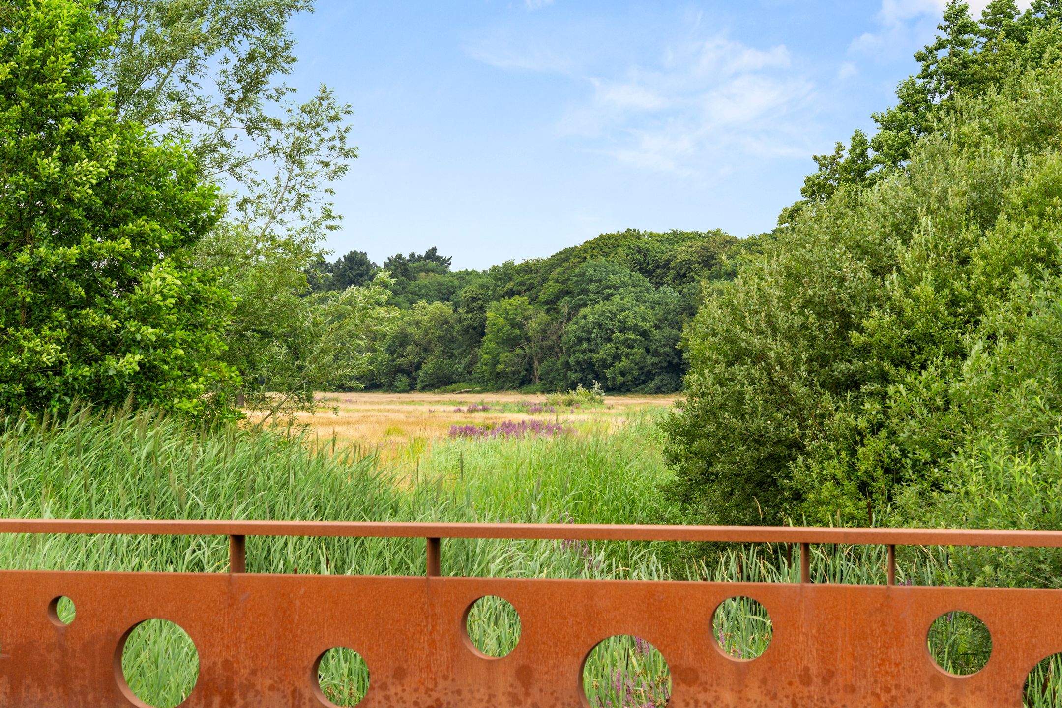 Foto 51 van Hartenseweg 12