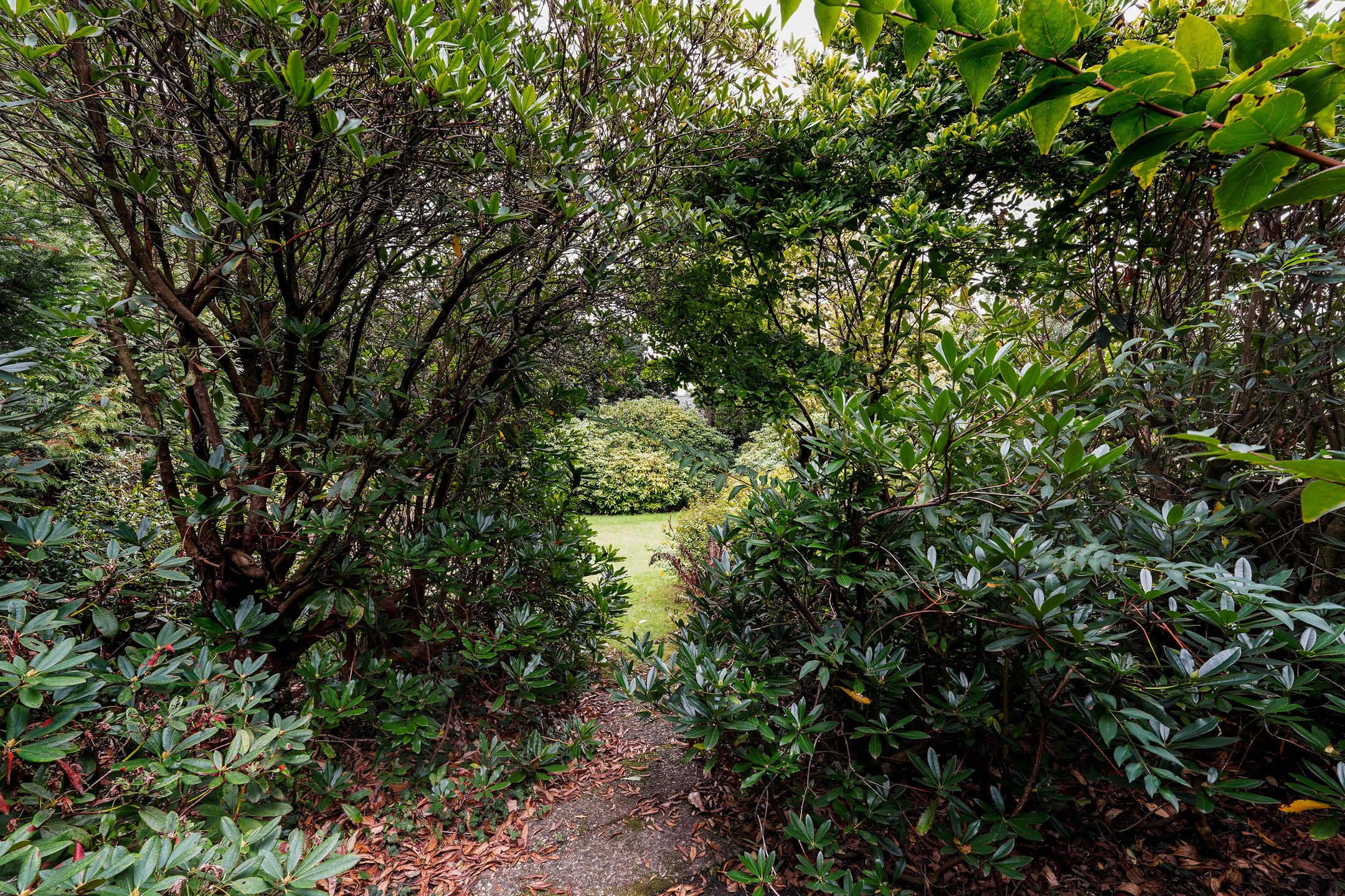 Foto 57 van Vic.van Alphenlaan 7