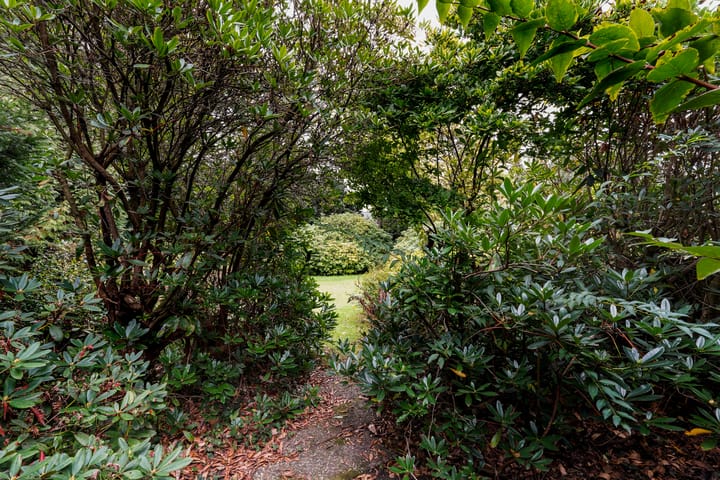 Foto 57 van Vic.van Alphenlaan 7