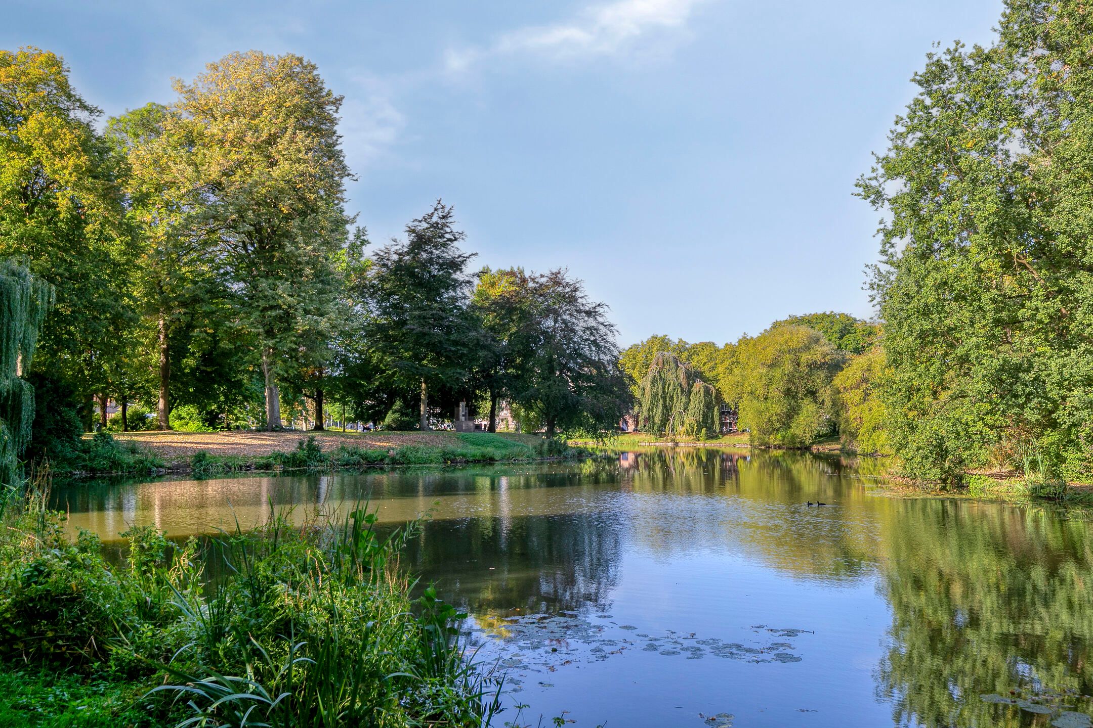 Photo 51 of Koninginnestraat 49