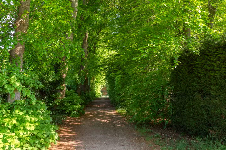 Foto 33 van Wassevendreef 36