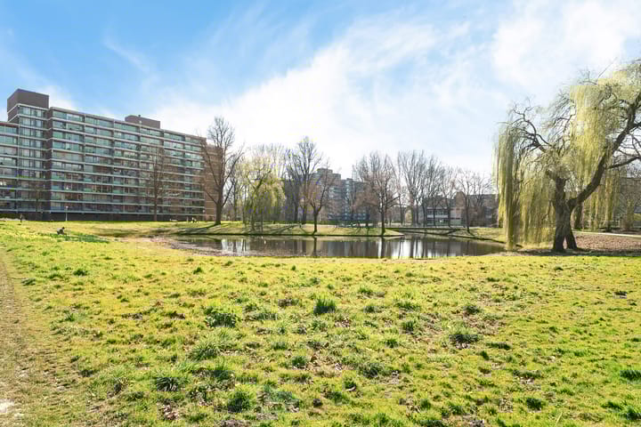 Foto 48 van Jonkerbos 28