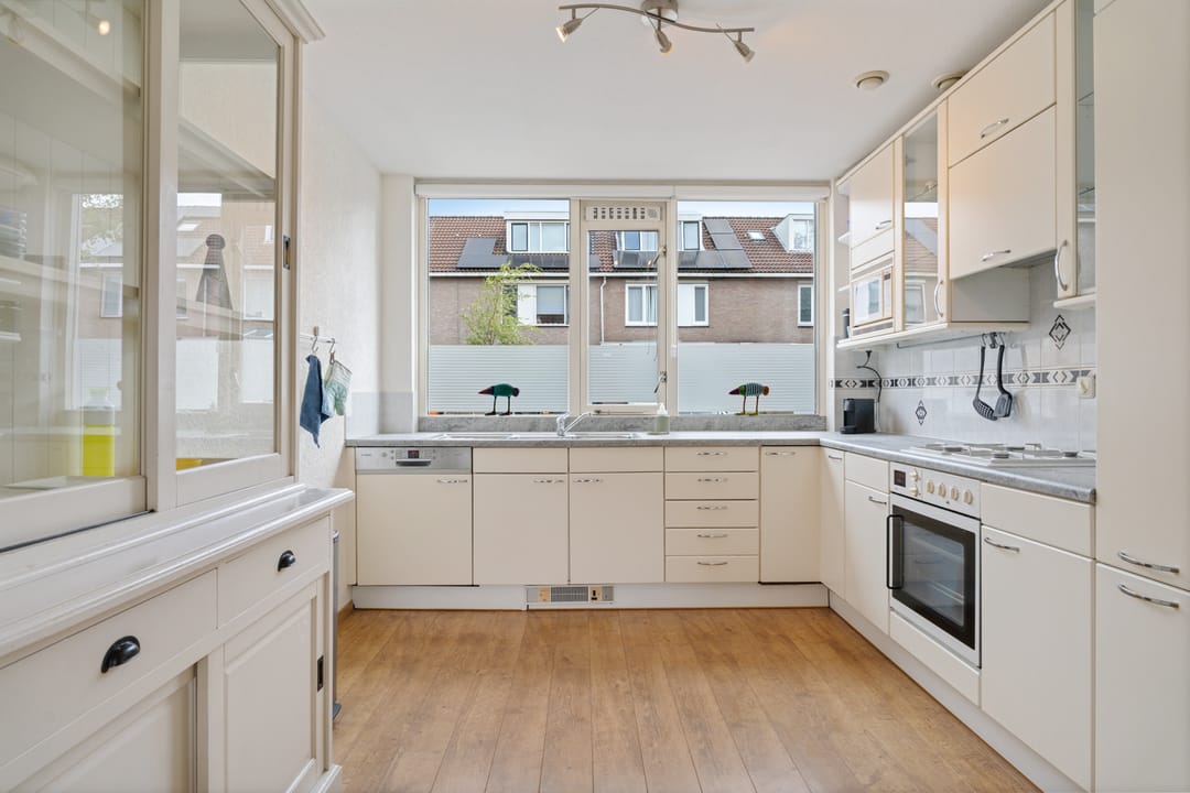 Foto 1 van Titaanwit 47