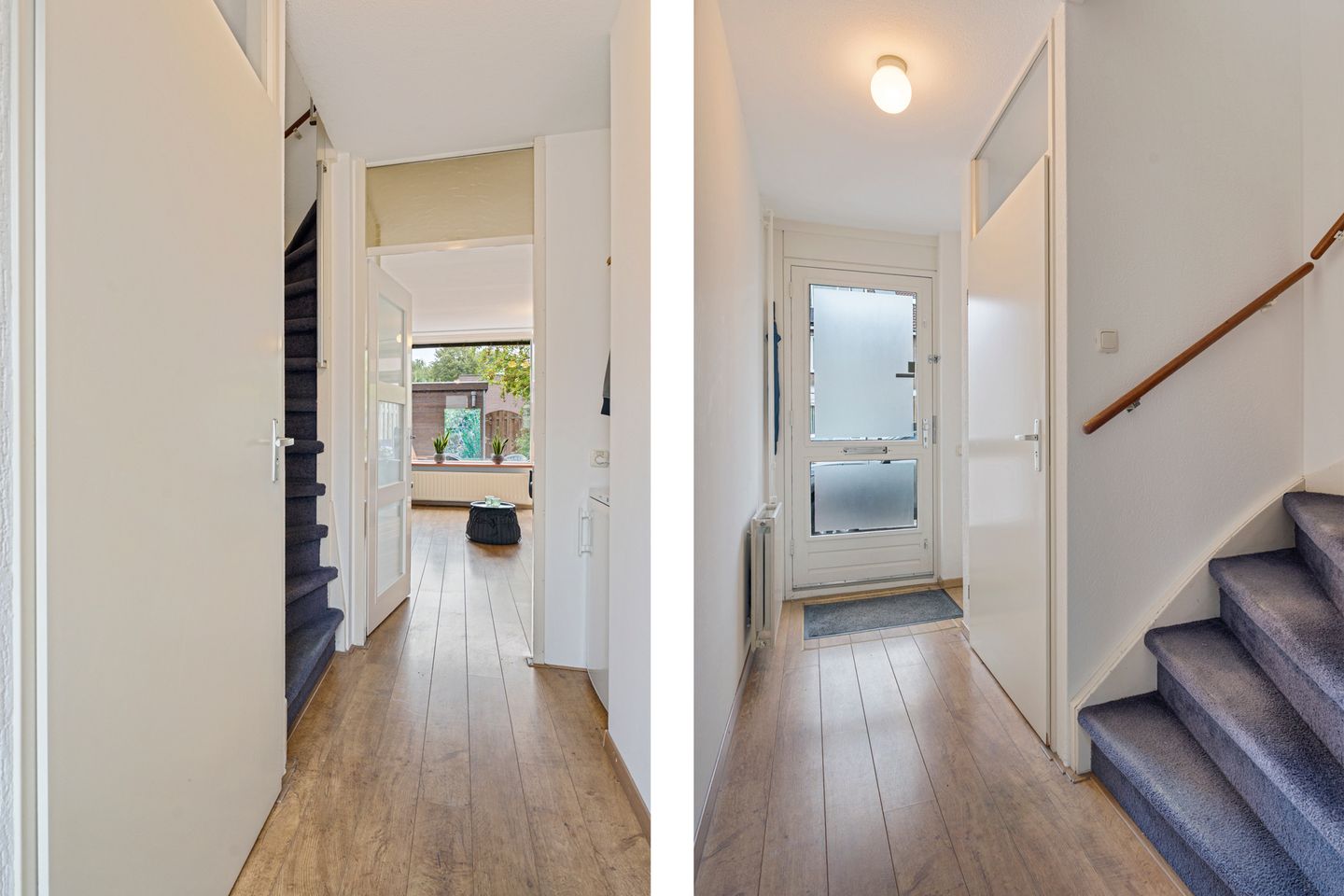 Foto 10 van Titaanwit 47