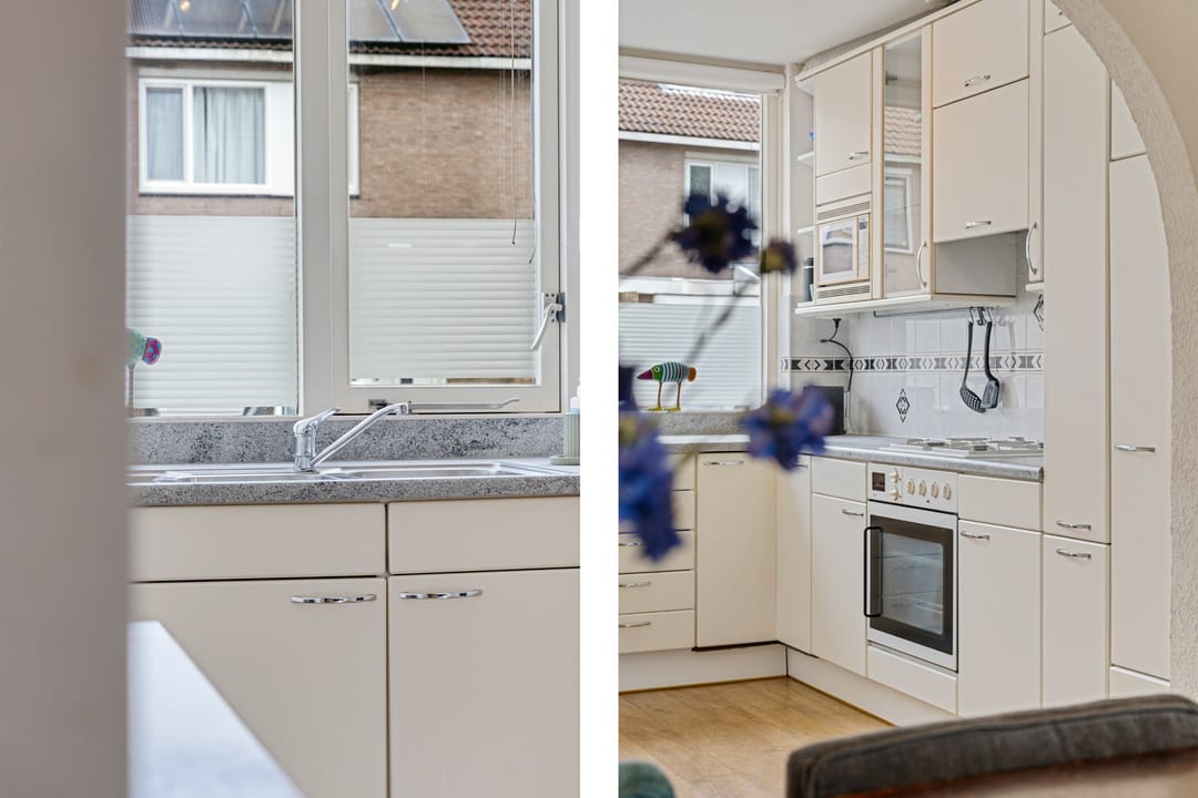 Foto 16 van Titaanwit 47