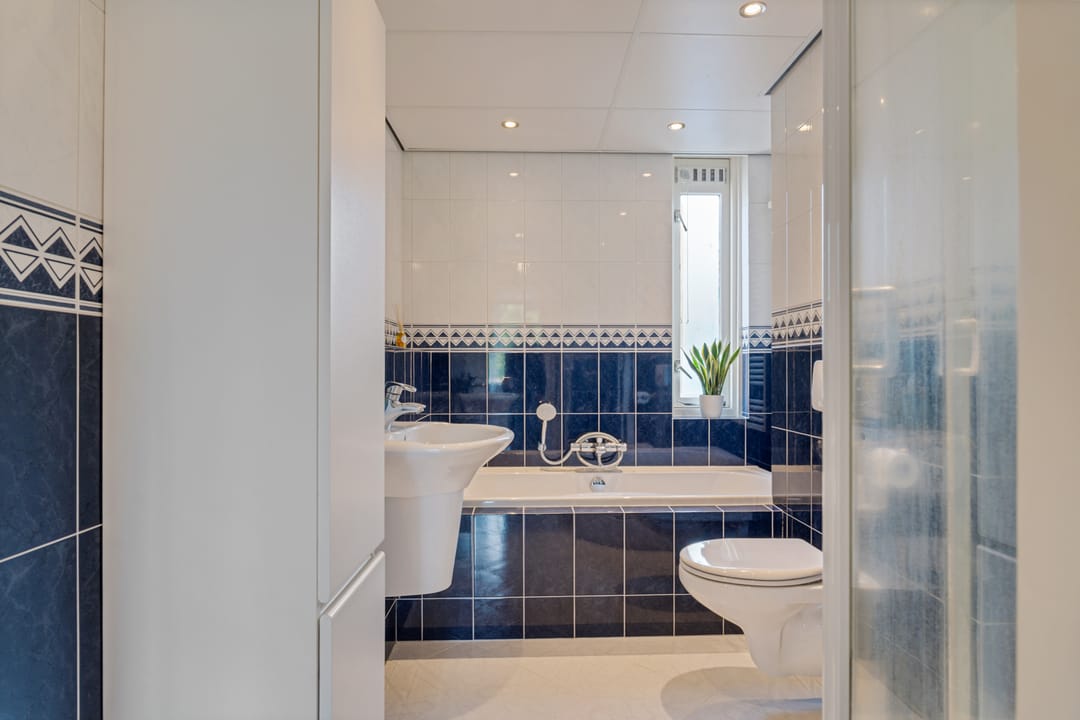 Foto 32 van Titaanwit 47