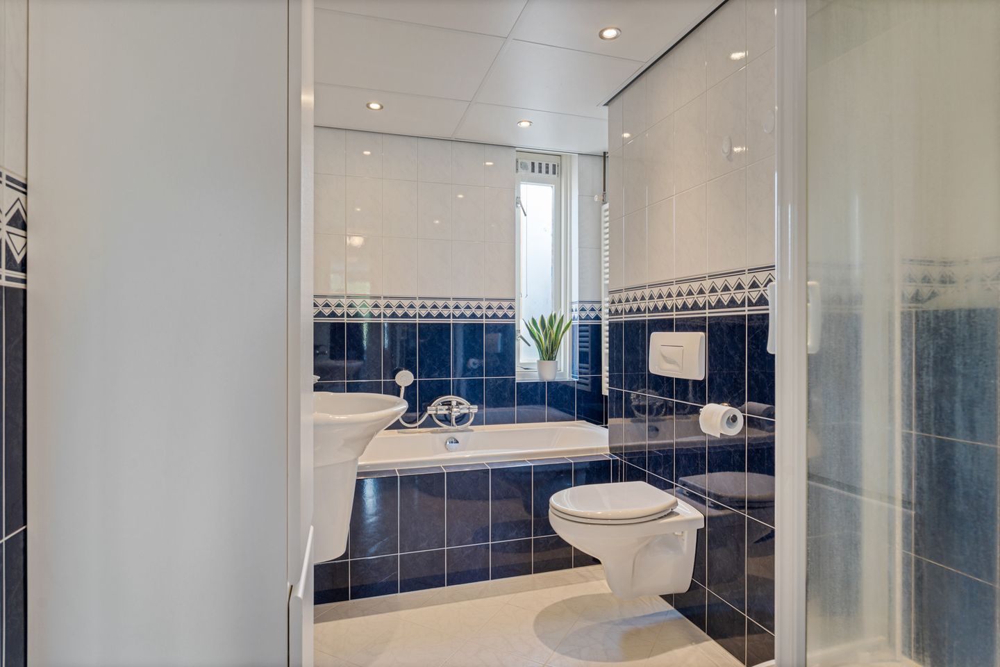 Foto 34 van Titaanwit 47