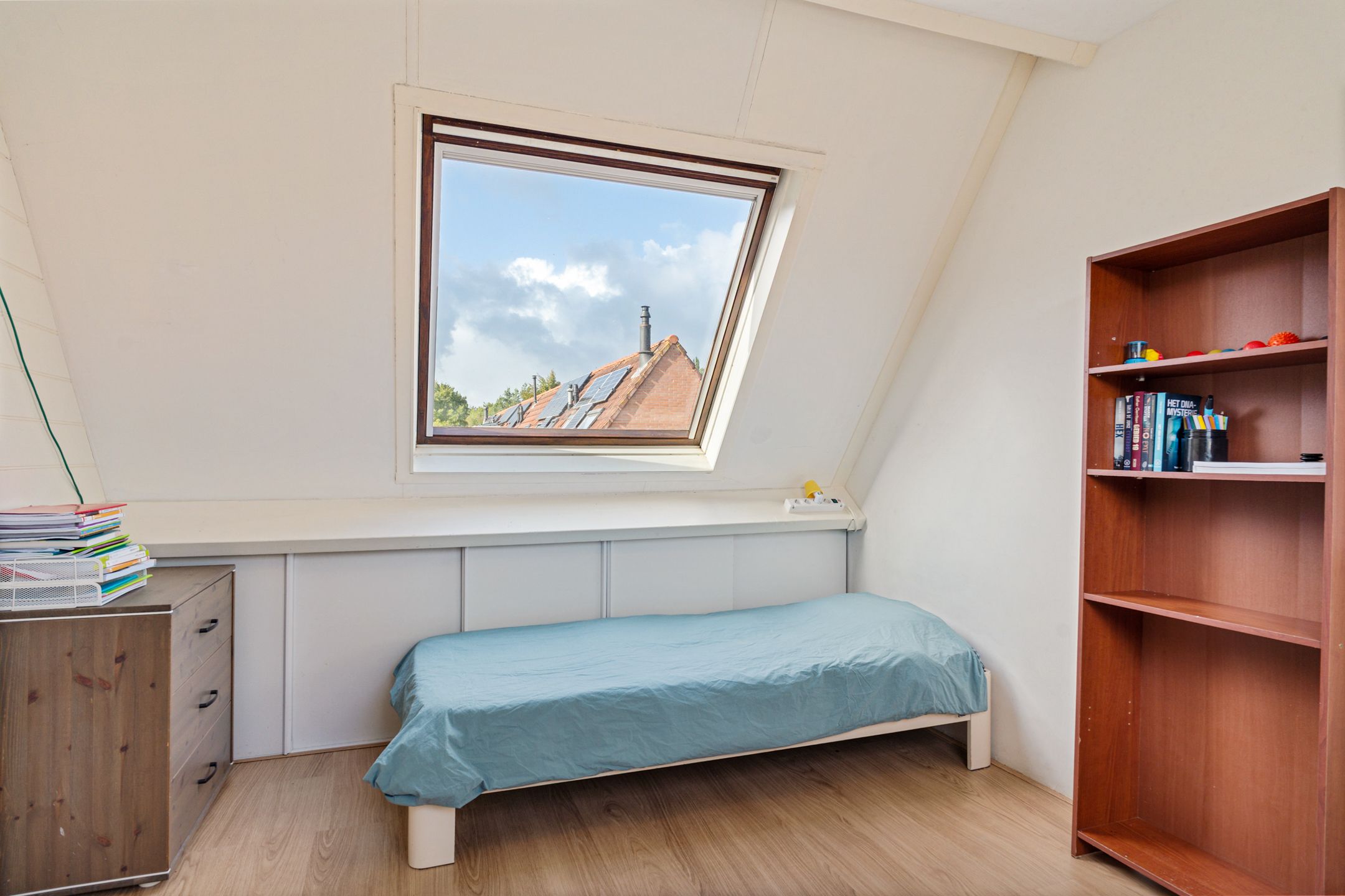 Foto 39 van Titaanwit 47