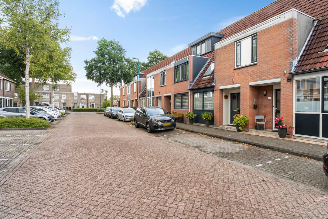 Foto 43 van Titaanwit 47