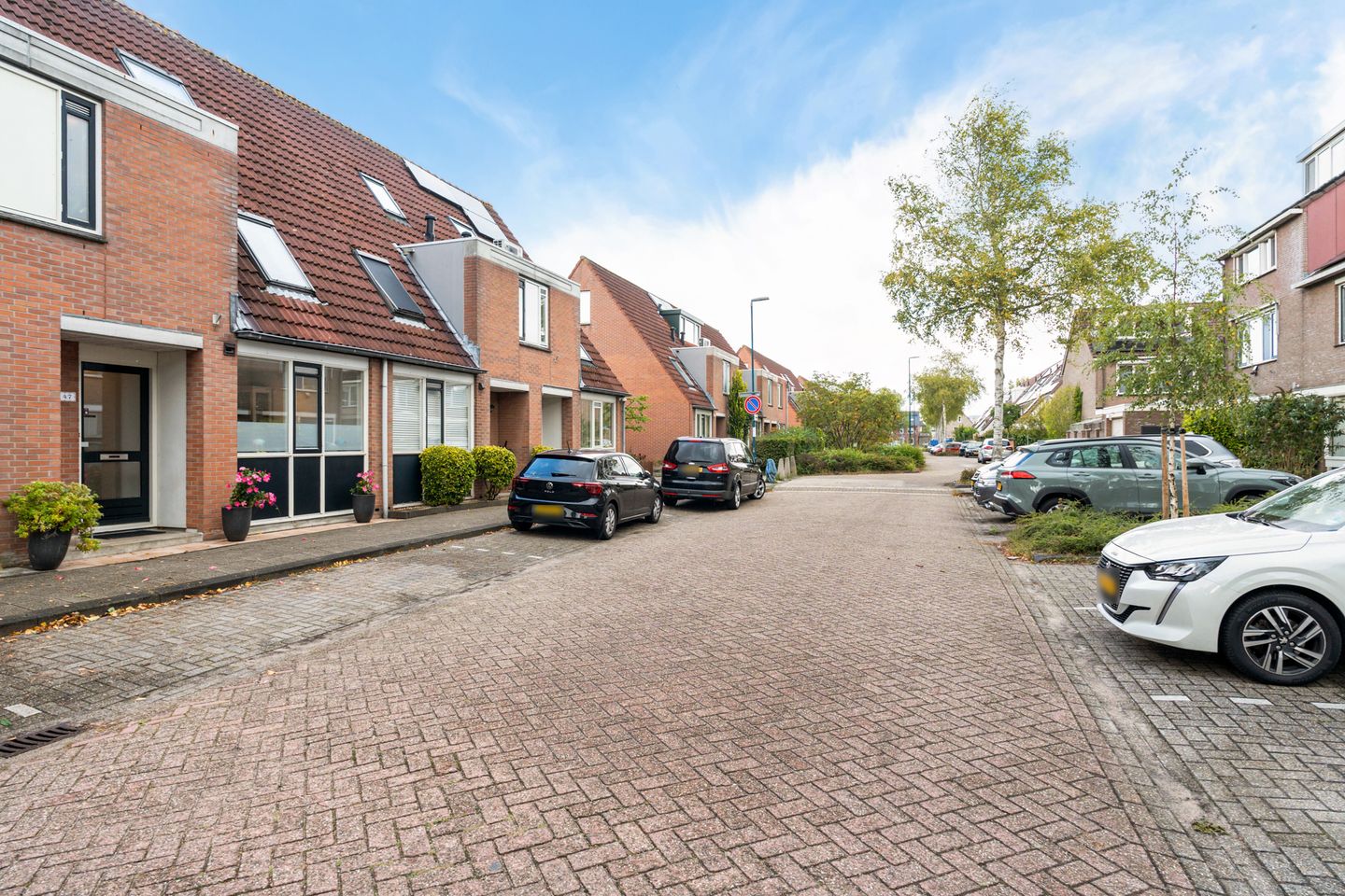 Foto 44 van Titaanwit 47