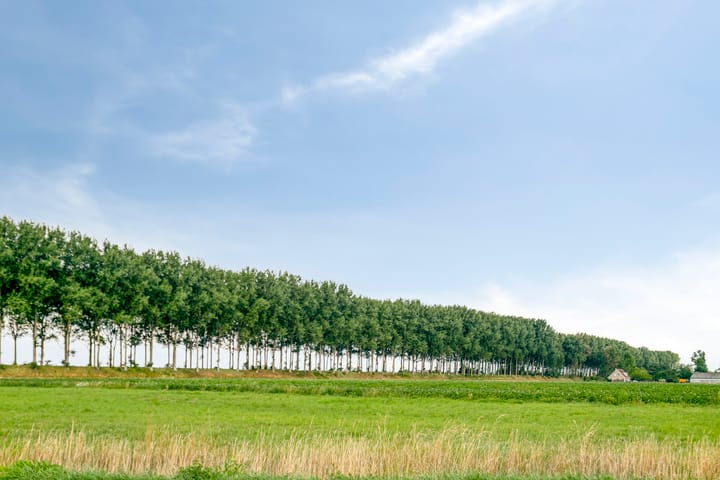 Foto 34 van Schans 4