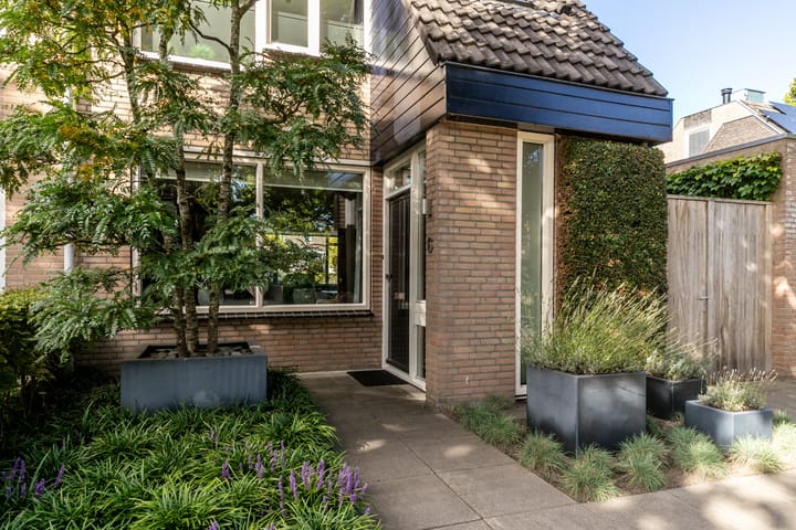 Photo 6 of de Zeilen 6