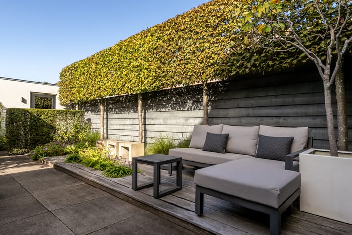 Photo 30 of de Zeilen 6