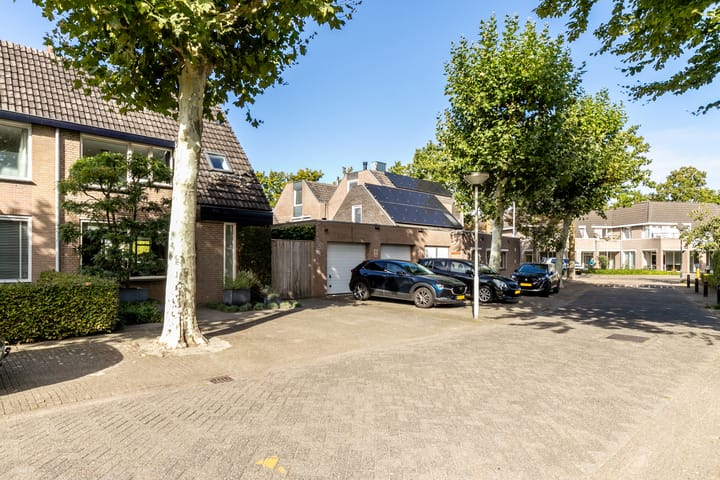 Photo 47 of de Zeilen 6