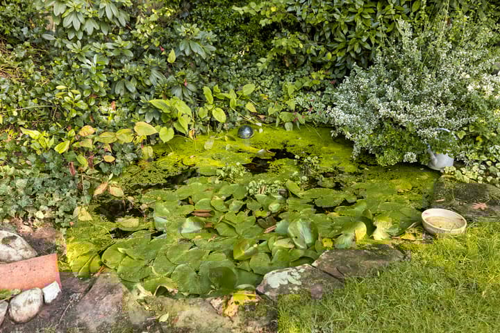 Photo 22 of Tollenslaan 11