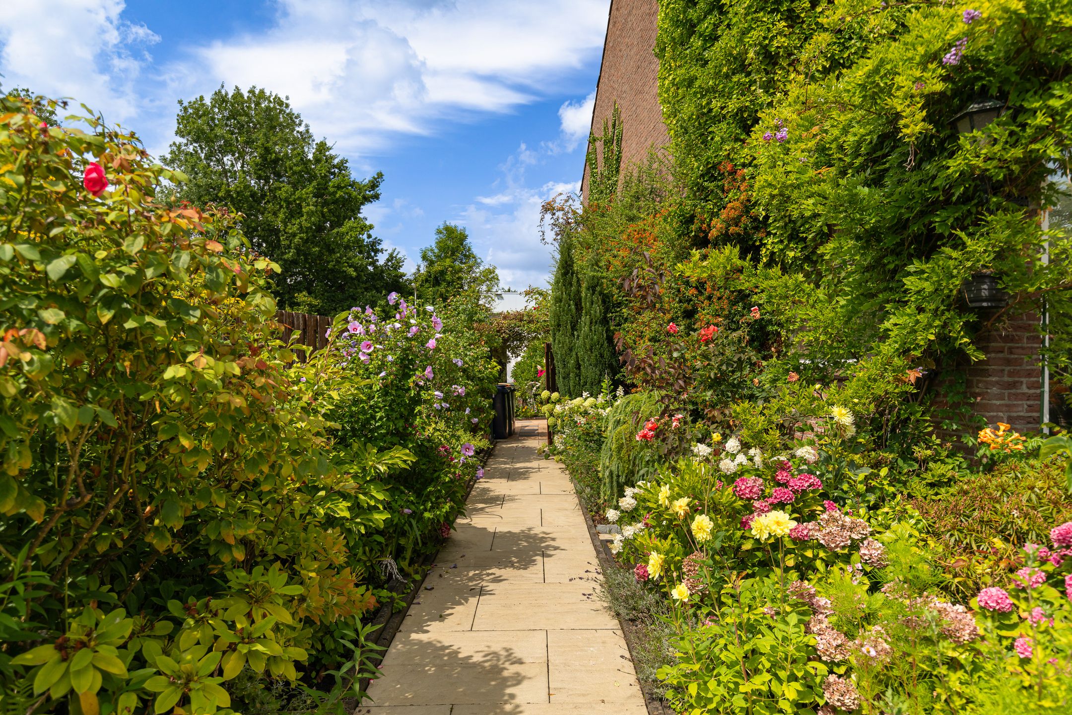 Foto 33 van Van Eijcklaan 9