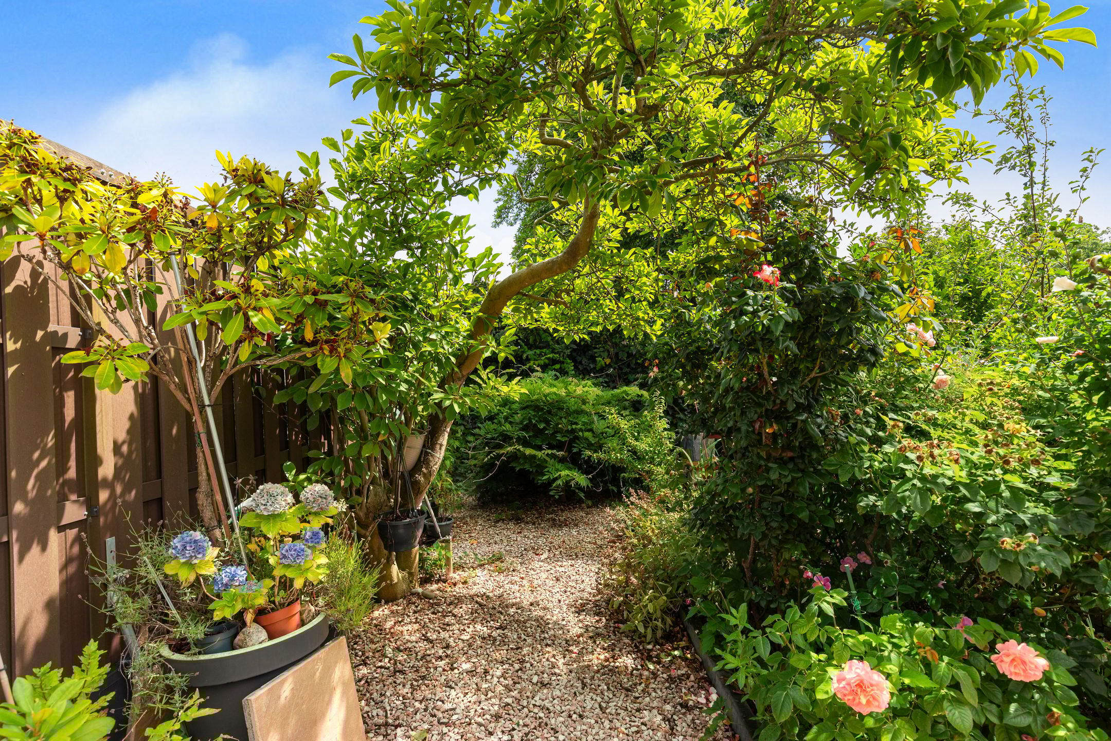 Foto 39 van Van Eijcklaan 9