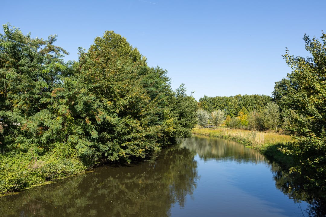 Foto 56 van Molenweide 9