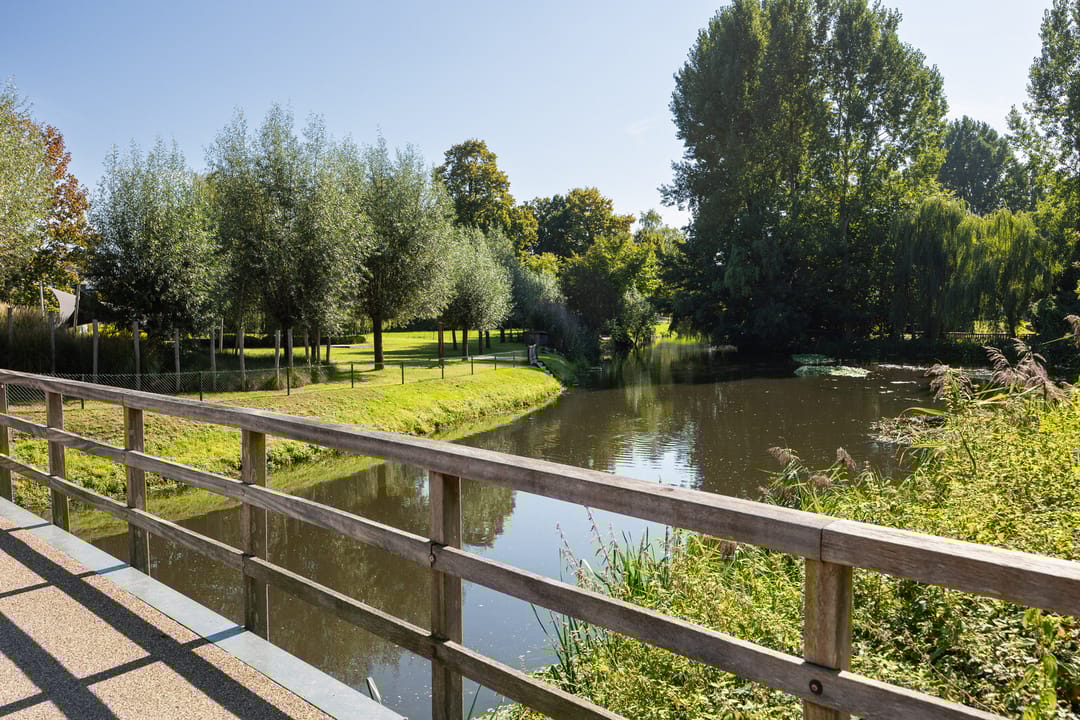 Foto 58 van Molenweide 9