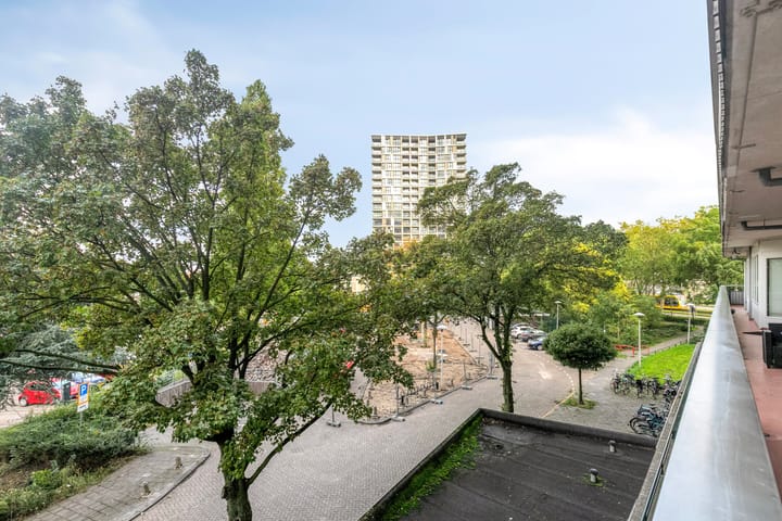 Foto 20 van Livingstonelaan 1030