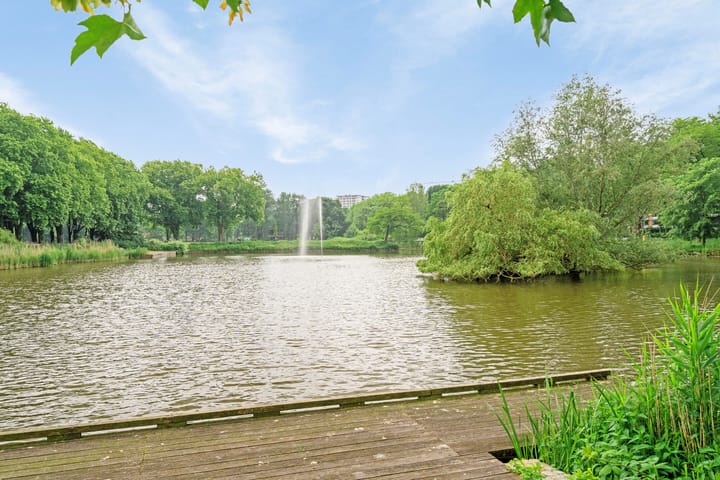 Foto 24 van Livingstonelaan 1030