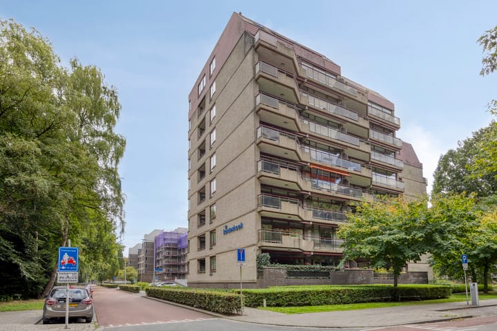 Foto 6 van Professor Cobbenhagenlaan 812