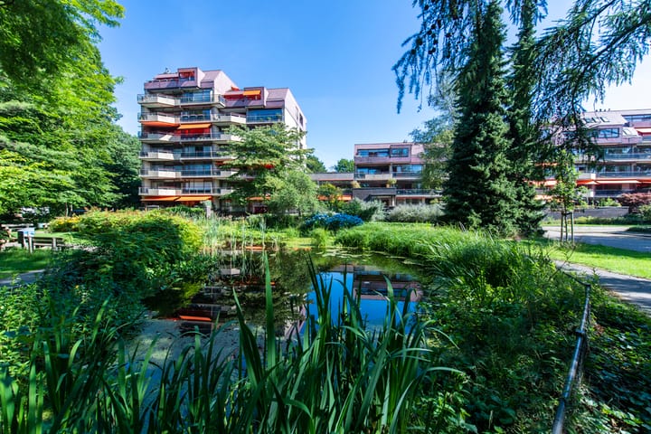 Foto 45 van Professor Cobbenhagenlaan 812