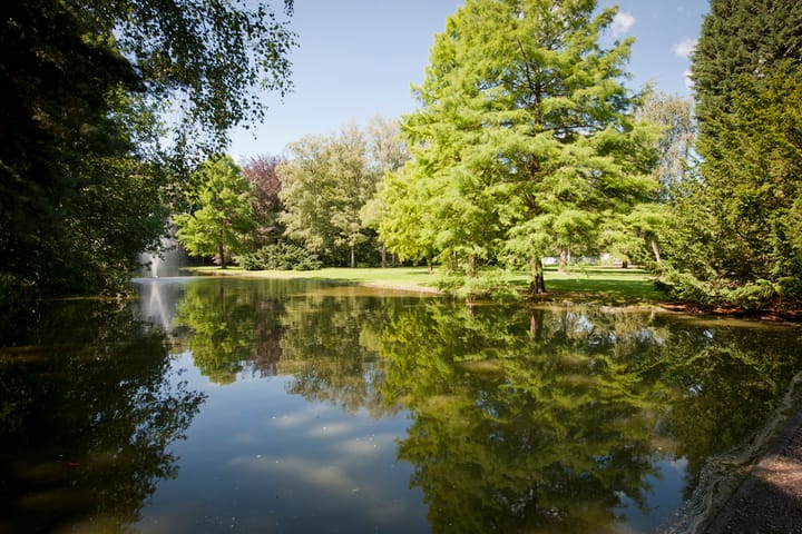 Foto 51 van Professor Cobbenhagenlaan 812