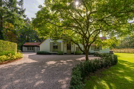 Bolmansweg thumbnail