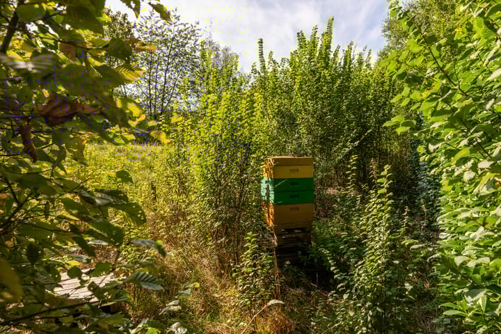 Foto 74 van Bolmansweg 5