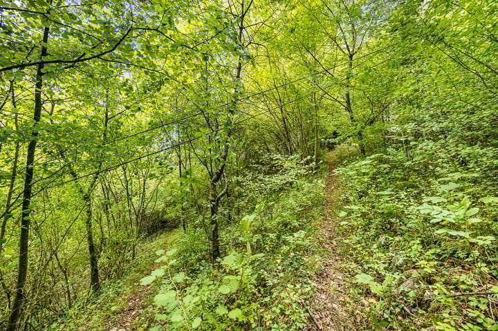 Photo 37 of Rue des Heids  21