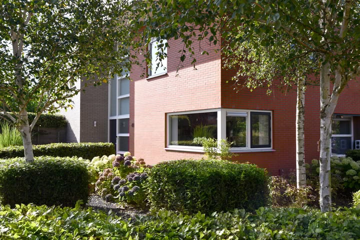 Foto 6 van Driegraas 41